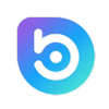 logo bora (BORA)