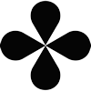 logo syntropy (noia)